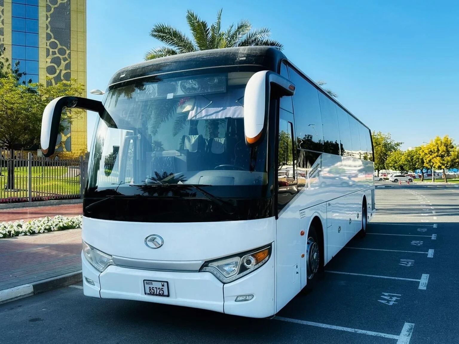 Luxury Bus Fleet